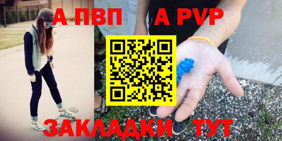 Альфа ПВП СК Кингисепп