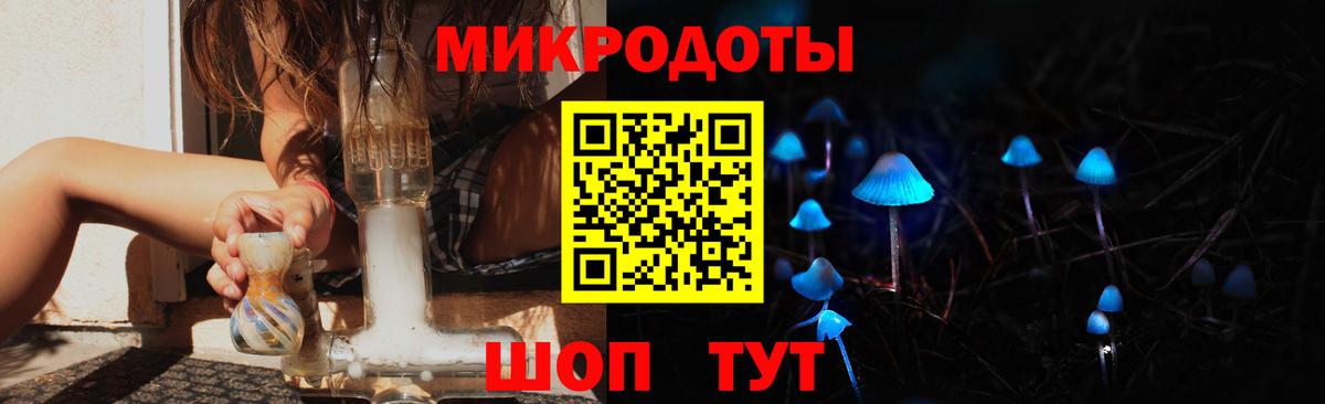 Кингисепп  Галлюциногенные грибы GOLDEN TEACHER  Вход с VPN 
