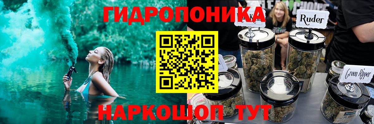 Шишки марихуана сатива Кингисепп